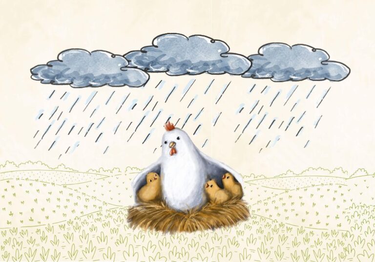 Watercolor image of a mother hen sitting in a nest with 3 chicks under her wings. One chick is under her left wing and 2 chicks are on under her right wing. Above the chickens are 3 rain clouds with rain coming from them. The foreground is a hilly area with grass. Used to illustrate the post Praying Psalm 91, from the section "He will cover us with His feathers",