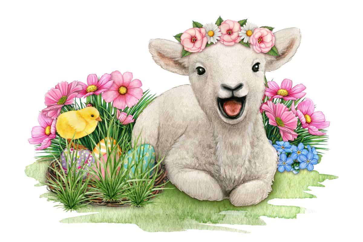 Watercolor picture of a lamb wearing a crown of flowers. The lamb is laying on a patch of grass surrounded on both sides with daisys and grass. There is a chick standing on a basket on the left side. Picture used to illustrate toddlers being lambs of God for the post prayers for toddlers.