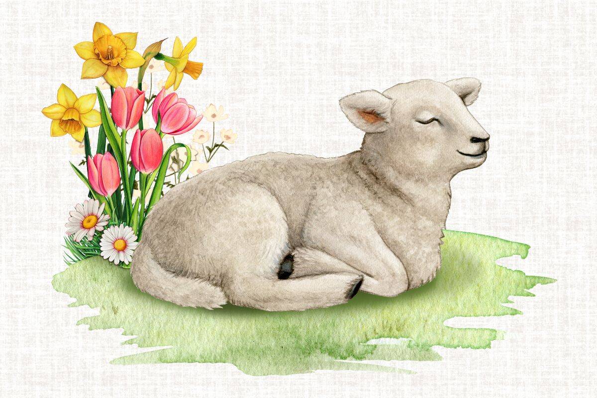 Watercolor picture of a lamb laying in the grass with its legs folded under him. The lamb has its eyes closed and looks relaxed. On the left side of the lamb is a large bunch of flowers: tulips, daisya and daffodils. This picture is used to inspire feelings of toddlers protection for the post prayers for toddlers.