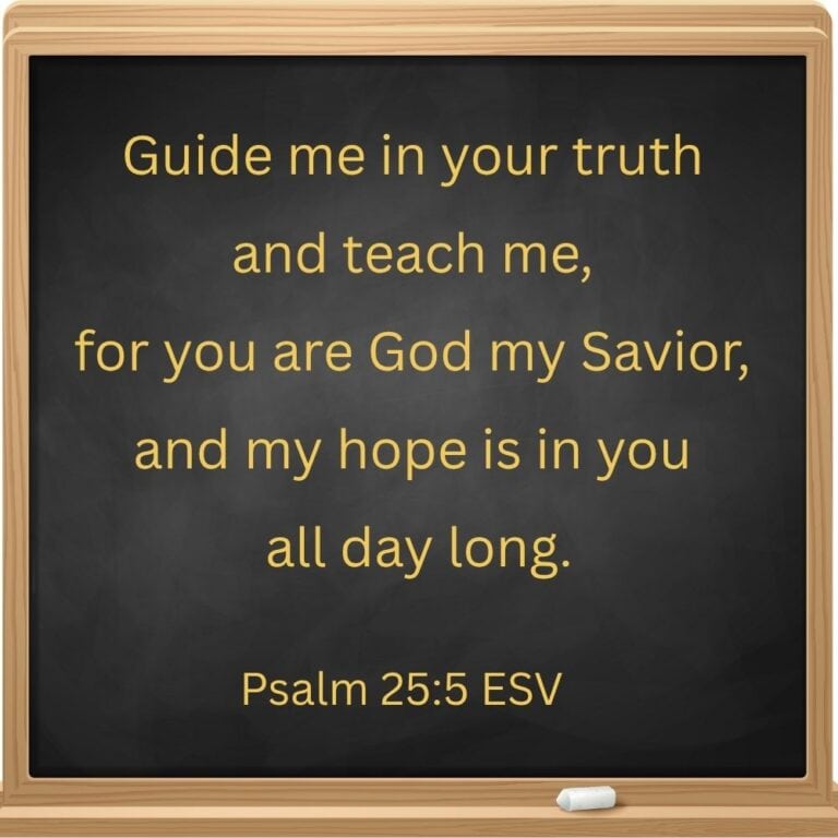 Bible verse for back to school prayers post. This shows a square chalkboard with a wooden border and one piece of chalk. The Bible verse Psalm 25:5 is written on the board in chalk.