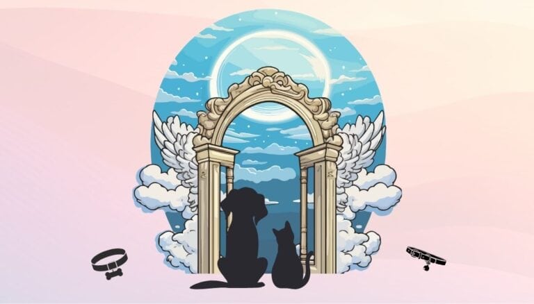 Picture of a dog and a cat sitting in front of the gates of Heaven as if waiting for someone to let them in. The gates are ornate and surrounded by clouds and wings. In the immediate background is a blue sky. There is a dog collar next to the dog and a cat collar next to the cat. Used to illustrate the blog post Pets in Heaven: Offering Hope When Little Hearts Hurt.