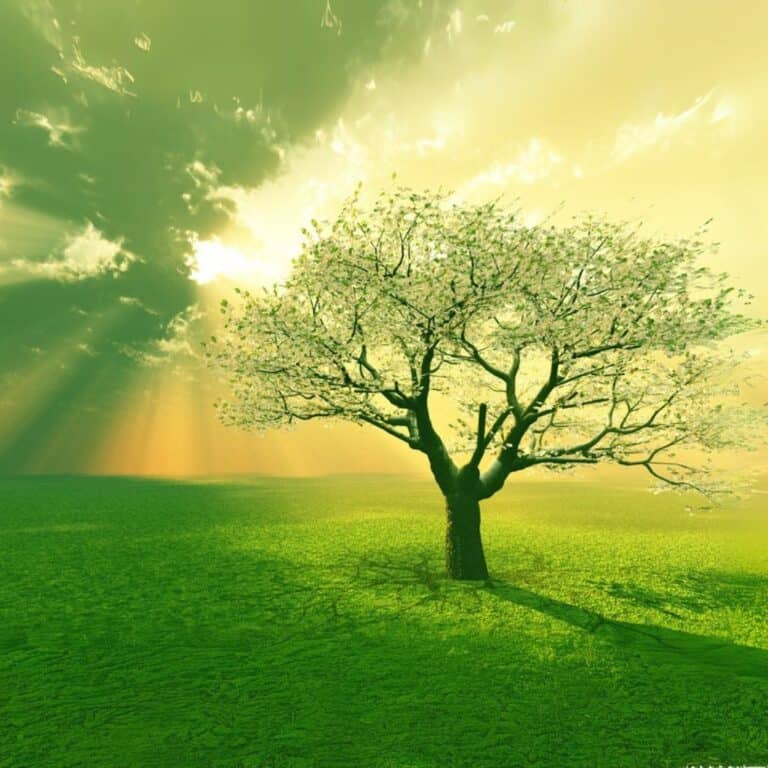 Illustration of a thriving tree with white blossoms. It is in a green field. There is a bright sun in the background that seems to suggest a heavenly presence. Used to show the concept of family blessings in the post 24 Bible verses about grandparents.