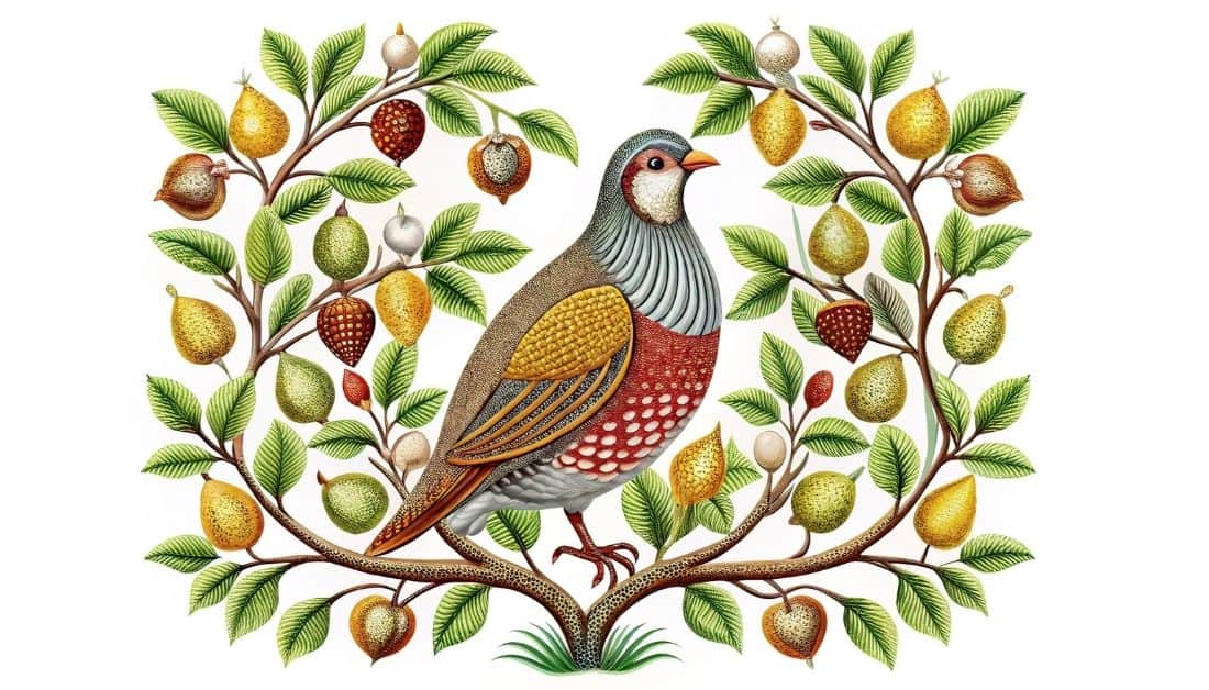 Drawing of a partridge in a pear tree. The bird is facing right and is intricately drawn with brown feathers and a red and gray breast. The tree branches surround the partridge and have pears of green and gold. Used to illustrate the post 12 Days of Christmas Meaning.