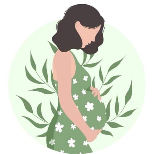 Illustration of a pregnant mother. She is standing and the picture is a side view of her. She has her hands on top of and below her pregnant belly. The woman has no facial features. The background is 5 leafy branches that form a circle behind her. Used to illustrate the post Praying for Pregnant Mothers.