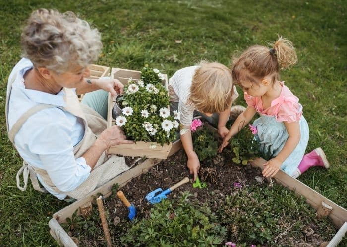 Photo of a grandma sitting in the grass with two young children. They are planting flowers in a flower box. Grandma is holding a pack of white daisies, and the children are digging in the dirt with little shovels. Used to illustrate the concept of quality time for the blog post on grandparent's importance.