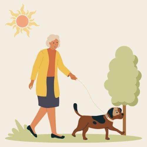 Drawing of a senior woman walking her dog. There is a sun in the upper left corner and a tree on the right side of the picture. Used to illustrate the idea of a Prayer Walk for strengthening your prayer life.